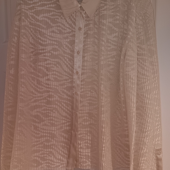 Rafaella Cream Sheer Leopard Blouse - Picture 1 of 2